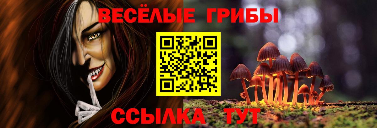 Псилоцибиновые грибы Cubensis  Вход с VPN  Ревда 