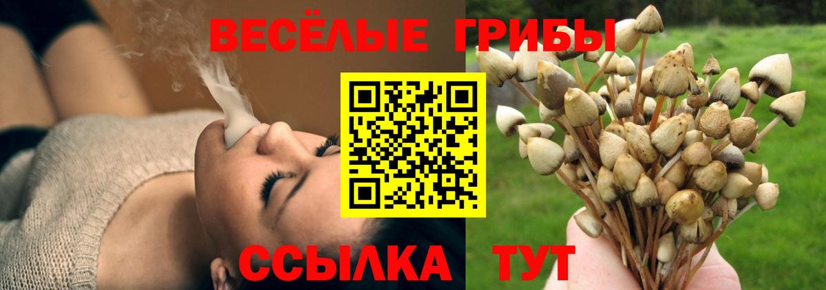 Псилоцибиновые грибы Cubensis Ревда